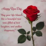 Happy Rose Day