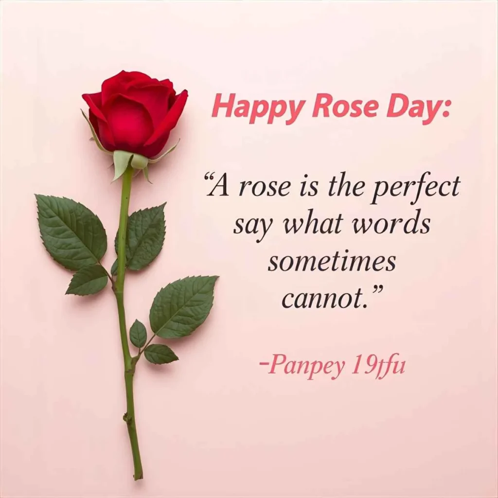  Happy Rose Day