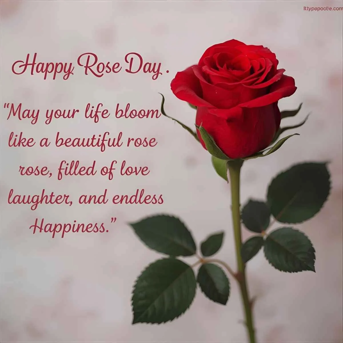 Happy Rose Day