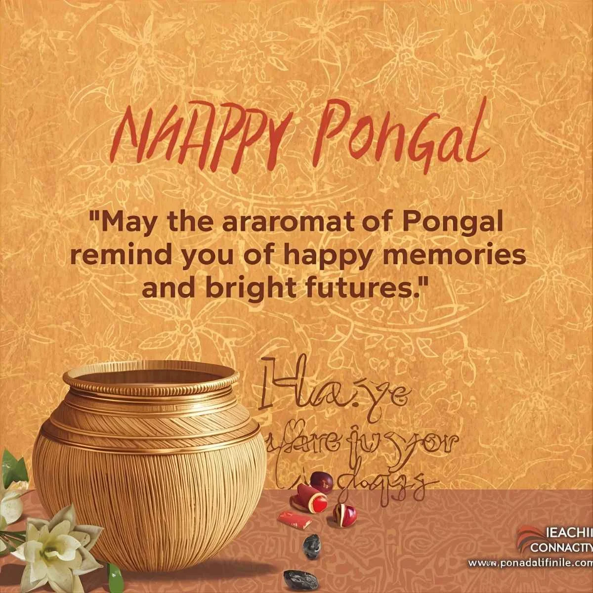 Pongal Wishes